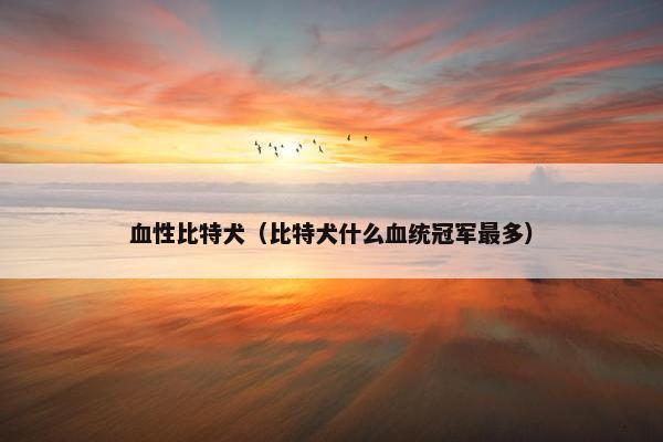 血性比特犬（比特犬什么血统冠军最多）