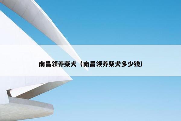 南昌领养柴犬（南昌领养柴犬多少钱）