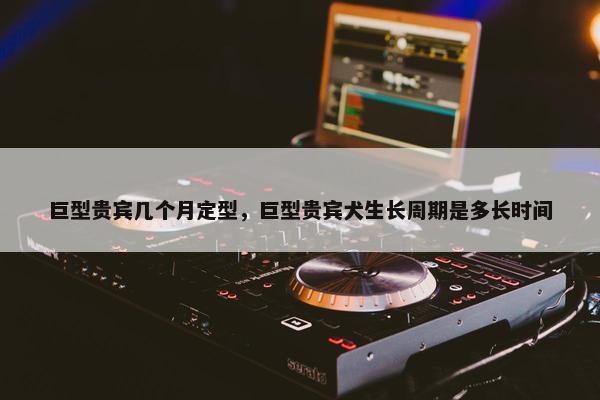 巨型贵宾几个月定型，巨型贵宾犬生长周期是多长时间