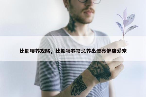 比熊喂养攻略，比熊喂养禁忌养出漂亮健康爱宠