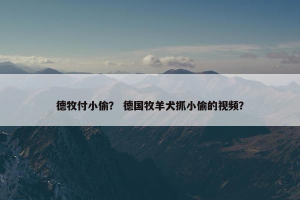 德牧付小偷？ 德国牧羊犬抓小偷的视频？