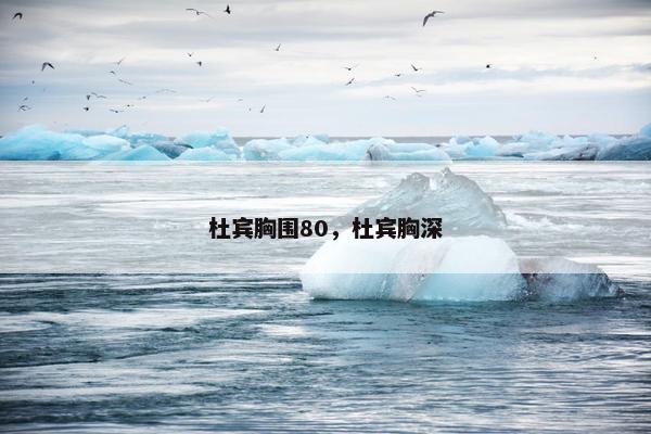 杜宾胸围80，杜宾胸深