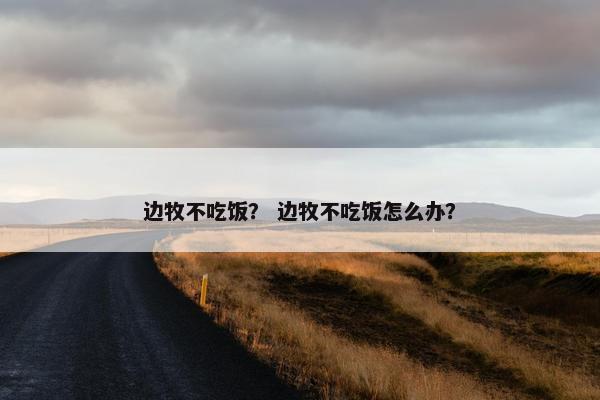 边牧不吃饭？ 边牧不吃饭怎么办？