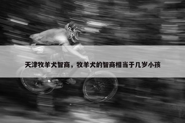 天津牧羊犬智商，牧羊犬的智商相当于几岁小孩