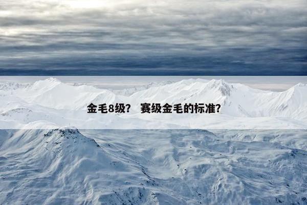 金毛8级？ 赛级金毛的标准？