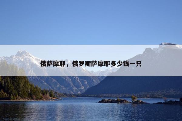 俄萨摩耶，俄罗斯萨摩耶多少钱一只