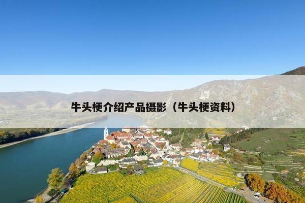牛头梗介绍产品摄影（牛头梗资料）