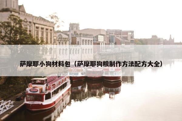 萨摩耶小狗材料包（萨摩耶狗粮制作方法配方大全）