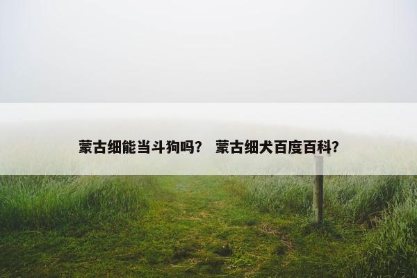 蒙古细能当斗狗吗？ 蒙古细犬百度百科？