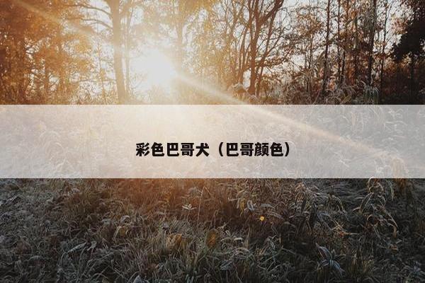 彩色巴哥犬（巴哥颜色）