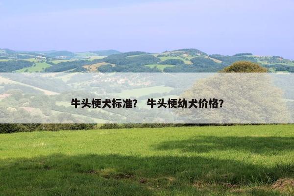 牛头梗犬标准？ 牛头梗幼犬价格？