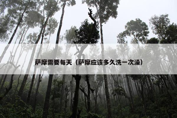 萨摩需要每天（萨摩应该多久洗一次澡）