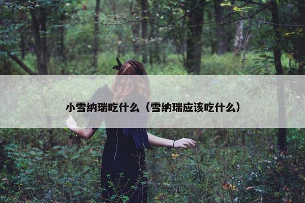 小雪纳瑞吃什么（雪纳瑞应该吃什么）
