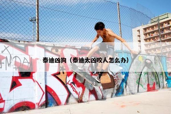 泰迪凶狗（泰迪太凶咬人怎么办）