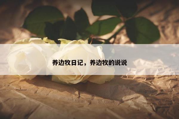 养边牧日记，养边牧的说说