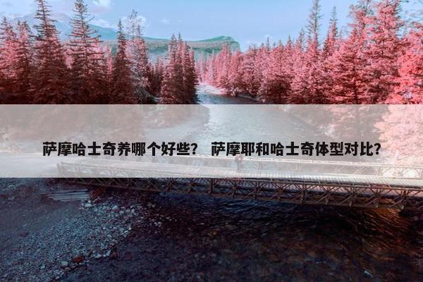 萨摩哈士奇养哪个好些？ 萨摩耶和哈士奇体型对比？