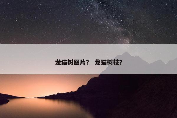 龙猫树图片？ 龙猫树枝？