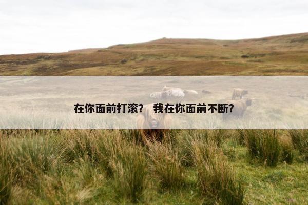 在你面前打滚？ 我在你面前不断？