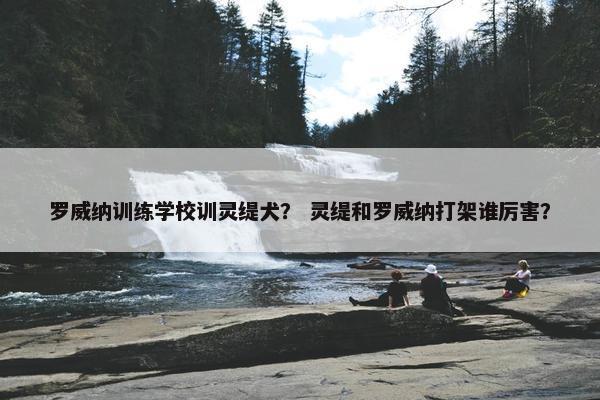 罗威纳训练学校训灵缇犬？ 灵缇和罗威纳打架谁厉害？