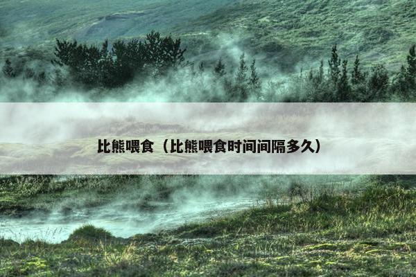 比熊喂食（比熊喂食时间间隔多久）