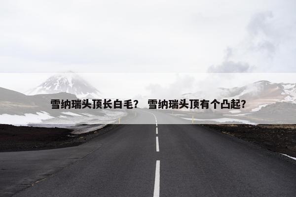 雪纳瑞头顶长白毛？ 雪纳瑞头顶有个凸起？
