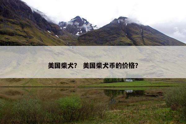美国柴犬？ 美国柴犬币的价格？