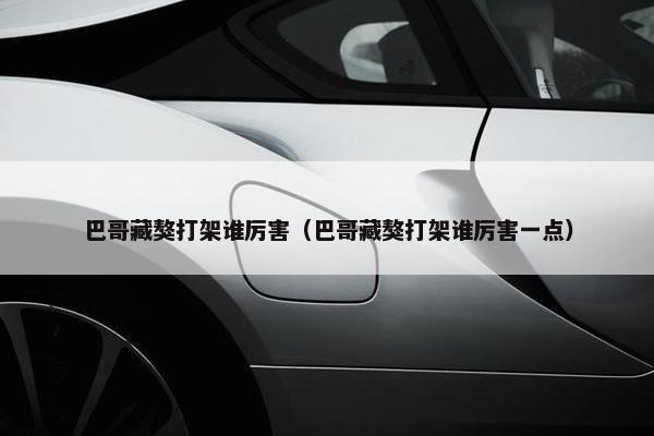 巴哥藏獒打架谁厉害（巴哥藏獒打架谁厉害一点）