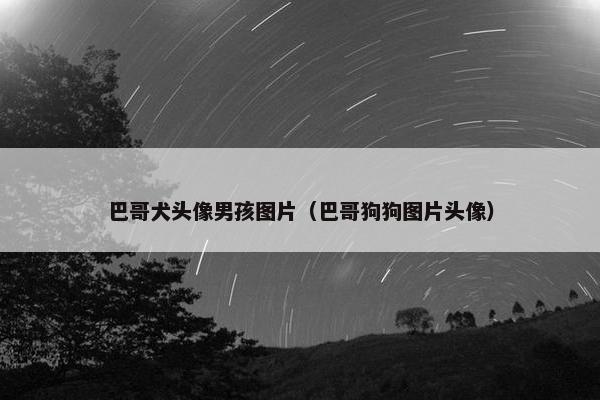 巴哥犬头像男孩图片（巴哥狗狗图片头像）