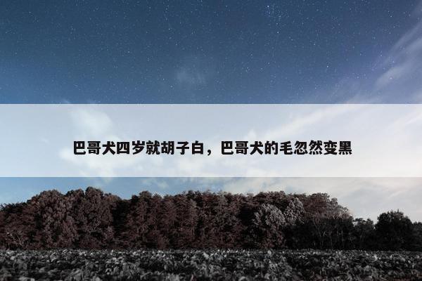 巴哥犬四岁就胡子白，巴哥犬的毛忽然变黑