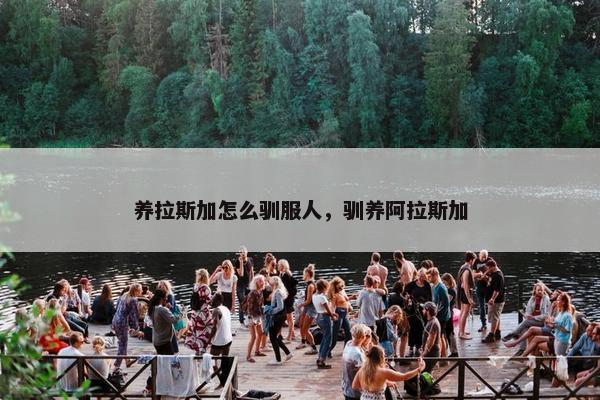 养拉斯加怎么驯服人，驯养阿拉斯加