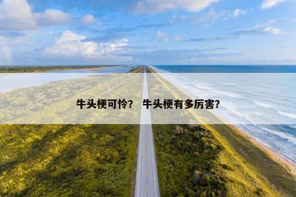 牛头梗可怜？ 牛头梗有多厉害？