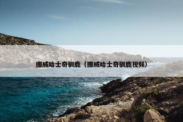 挪威哈士奇驯鹿（挪威哈士奇驯鹿视频）
