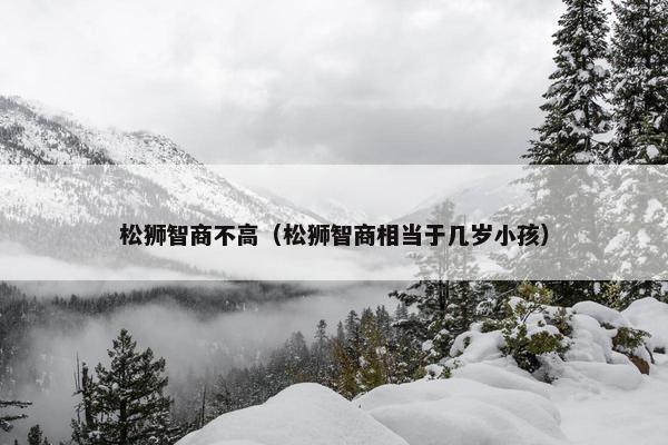 松狮智商不高（松狮智商相当于几岁小孩）