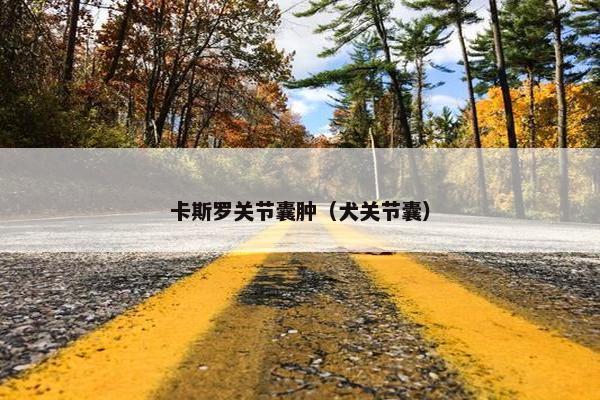 卡斯罗关节囊肿（犬关节囊）