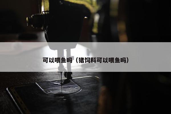 可以喂鱼吗（猪饲料可以喂鱼吗）