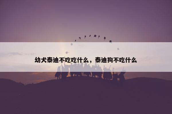 幼犬泰迪不吃吃什么，泰迪狗不吃什么