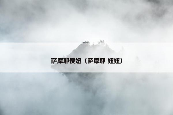 萨摩耶傻妞（萨摩耶 妞妞）