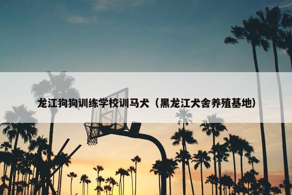 龙江狗狗训练学校训马犬（黑龙江犬舍养殖基地）