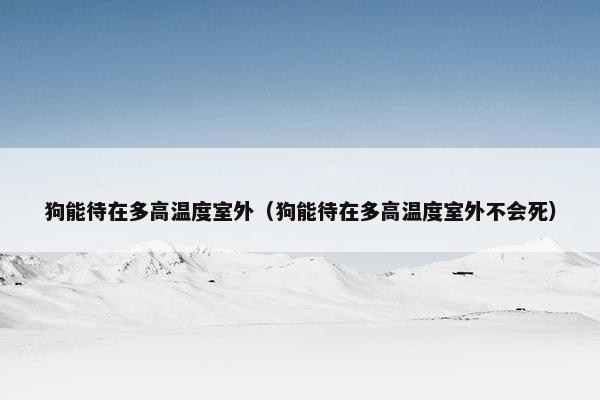 狗能待在多高温度室外（狗能待在多高温度室外不会死）