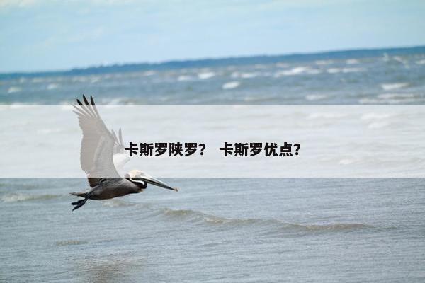卡斯罗陕罗？ 卡斯罗优点？