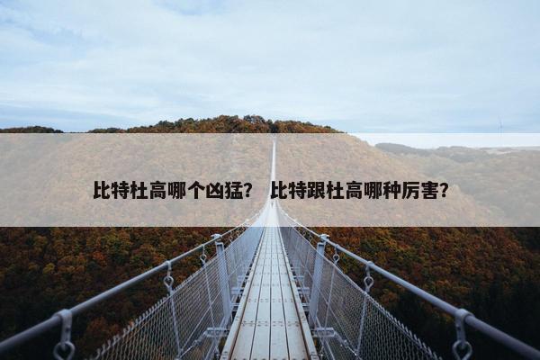 比特杜高哪个凶猛？ 比特跟杜高哪种厉害？