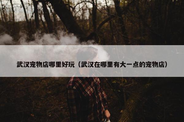 武汉宠物店哪里好玩（武汉在哪里有大一点的宠物店）