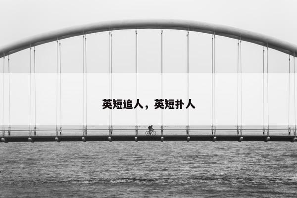 英短追人，英短扑人