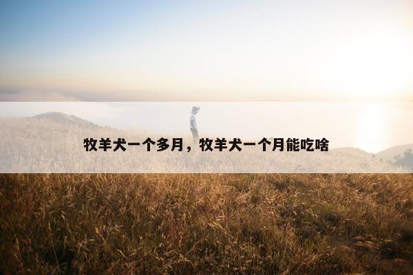 牧羊犬一个多月，牧羊犬一个月能吃啥