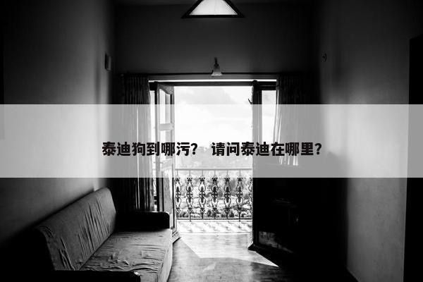 泰迪狗到哪污？ 请问泰迪在哪里？