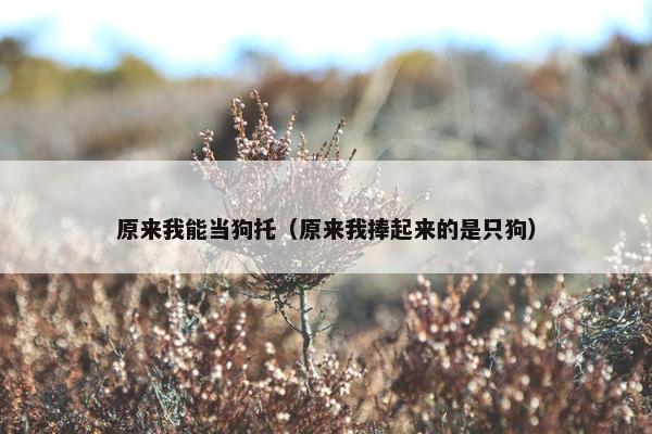 原来我能当狗托（原来我捧起来的是只狗）