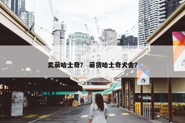 卖萌哈士奇？ 萌货哈士奇犬舍？