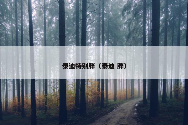泰迪特别胖（泰迪 胖）