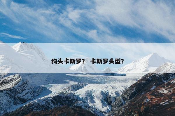 狗头卡斯罗？ 卡斯罗头型？