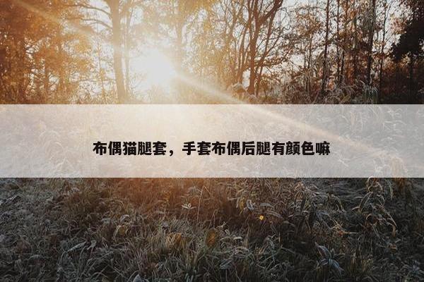 布偶猫腿套，手套布偶后腿有颜色嘛